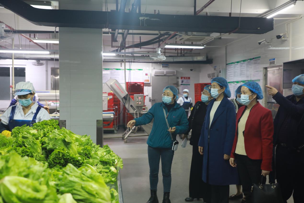 参观净菜中心 (2)